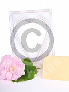 Vorlage Geschenk Reise