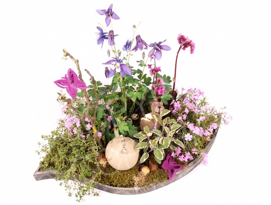 Blumenschiff
