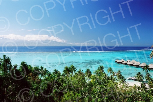 Moorea