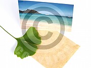 Vorlage Geschenk Reise