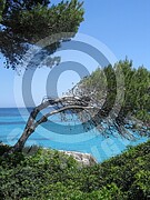 Strand Mallorca