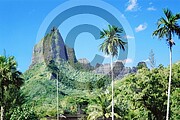 Moorea