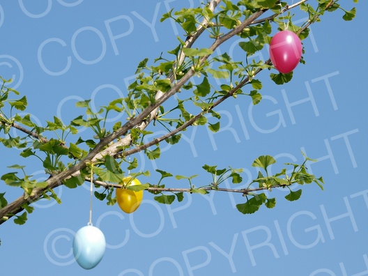 Osterdekoration Osterdekoration