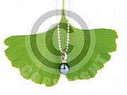 Vorlage Geschenk Reise