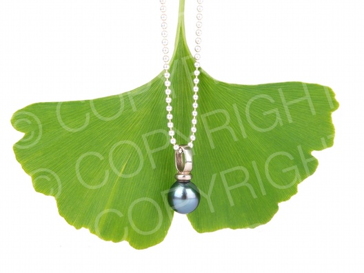 Vorlage Geschenk Reise Vorlage Geschenk Reise